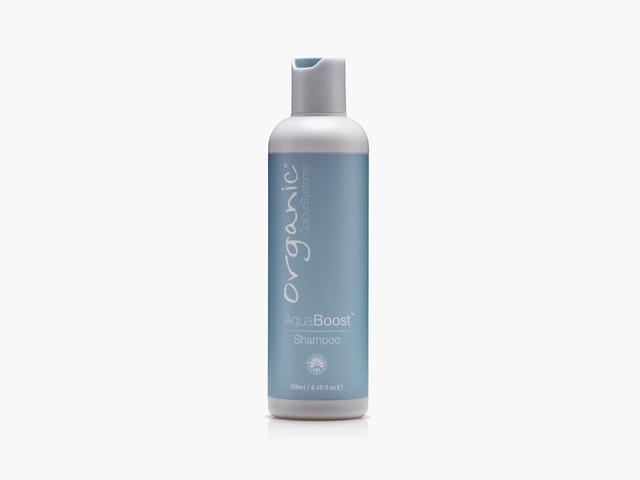 de wind is sterk krassen bundel Aqua boost shampoo 250ml - PUUR HHV